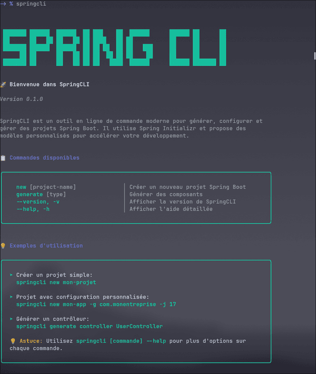 Spring CLI screenshot 1